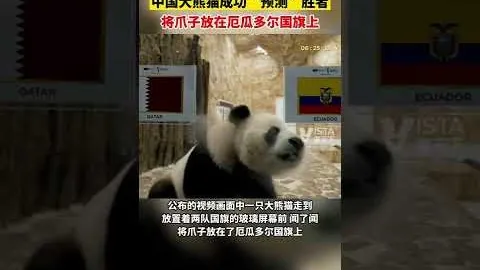 拉什福德回归曼联关键：阿莫林建议调整策略